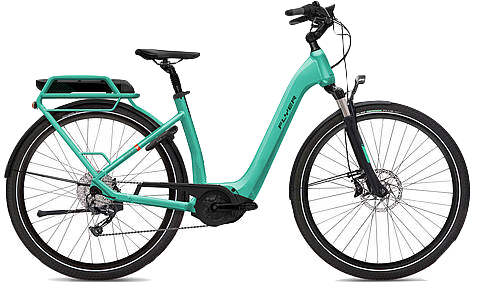 Handbuch Fahrrad und E-Bike. Alles zu Ausstattung, Technik und Zubehör. |  Jetzt online kaufen bei Frölich&Kaufmann